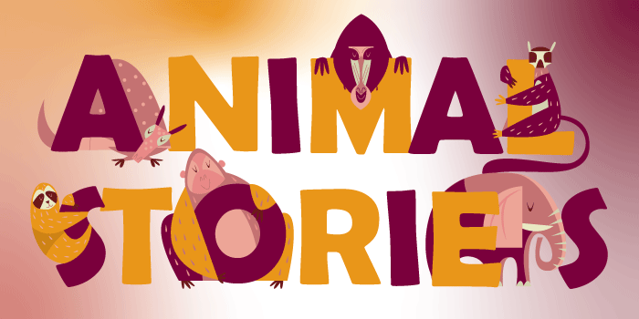 Animal Stories