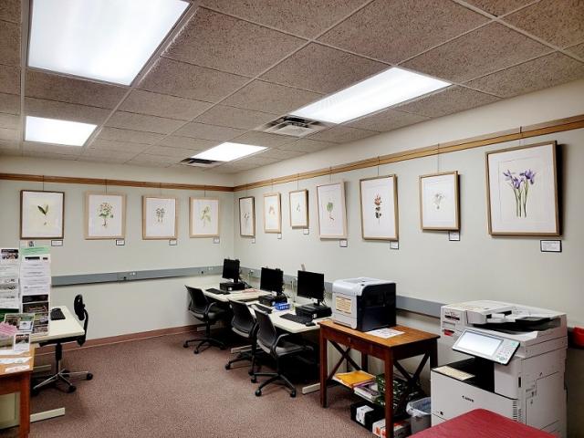 A row of watercolor art hangs on two adjacent walls behind computers on tables.