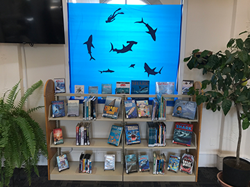 shark week library display