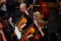 string ensemble string ensemble